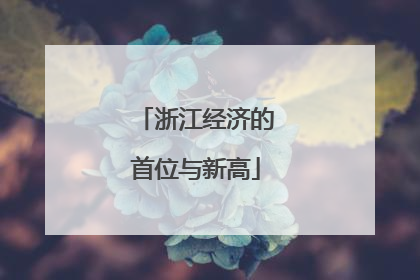 浙江经济的首位与新高