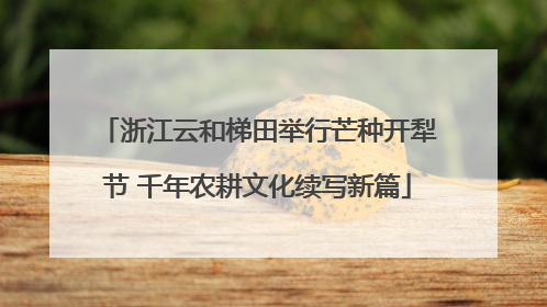 浙江云和梯田举行芒种开犁节 千年农耕文化续写新篇