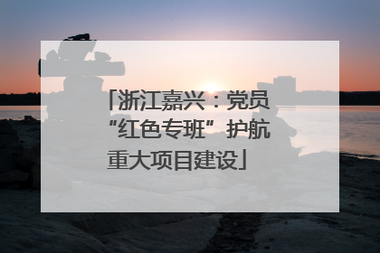 浙江嘉兴：党员“红色专班”护航重大项目建设