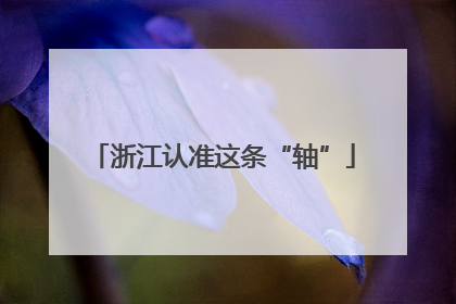 浙江认准这条“轴”