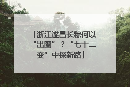浙江遂昌长粽何以“出圈”？“七十二变”中探新路