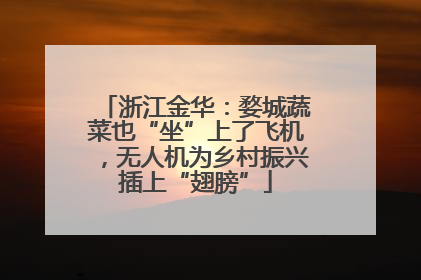 浙江金华：婺城蔬菜也“坐”上了飞机，无人机为乡村振兴插上“翅膀”
