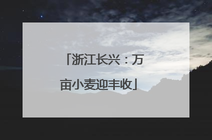 浙江长兴：万亩小麦迎丰收