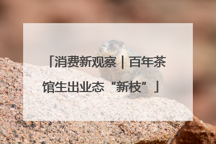 消费新观察｜百年茶馆生出业态“新枝”