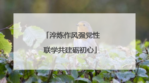 淬炼作风强党性 联学共建砺初心