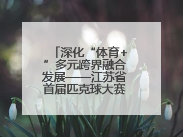 深化“体育+”多元跨界融合发展——江苏省首届匹克球大赛在无锡开赛