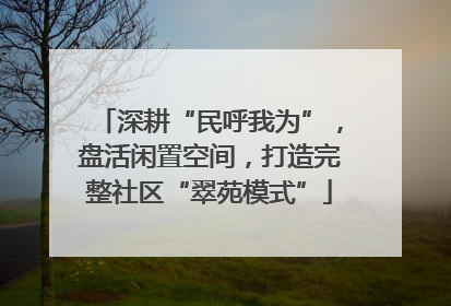 深耕“民呼我为”，盘活闲置空间，打造完整社区“翠苑模式”