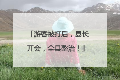 游客被打后，县长开会，全县整治！