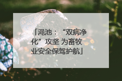 渑池：“双病净化”攻坚 为畜牧业安全保驾护航
