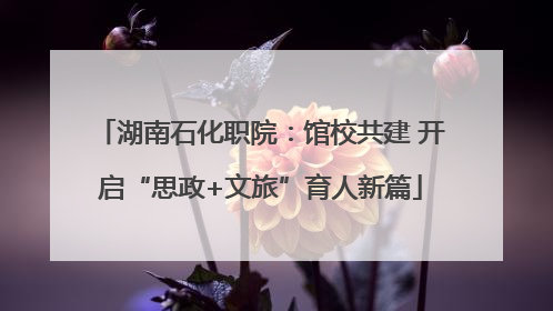 湖南石化职院：馆校共建 开启“思政+文旅”育人新篇