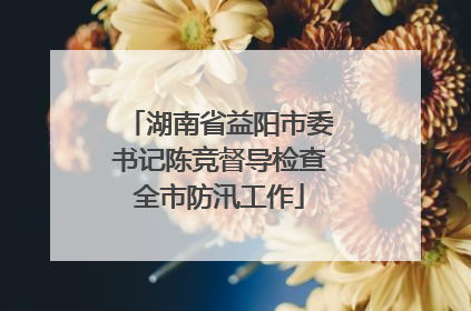 湖南省益阳市委书记陈竞督导检查全市防汛工作