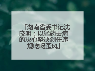 湖南省委书记沈晓明：以猛药去疴的决心坚决刹住违规吃喝歪风