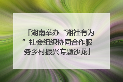 湖南举办“湘社有为”社会组织协同合作服务乡村振兴专题沙龙