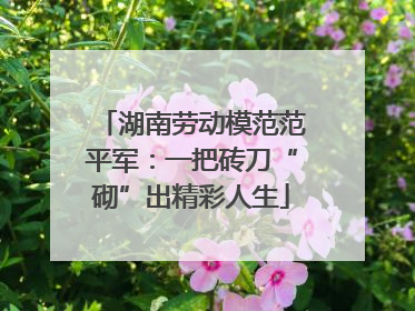 湖南劳动模范范平军：一把砖刀“砌”出精彩人生