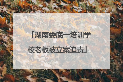 湖南娄底一培训学校老板被立案追责