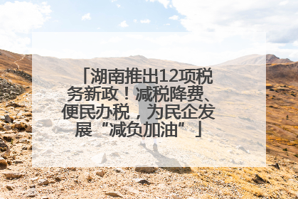 湖南推出12项税务新政！减税降费、便民办税，为民企发展“减负加油”