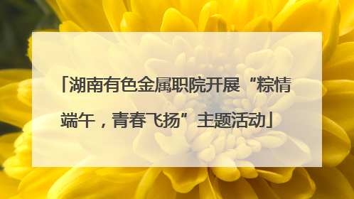 湖南有色金属职院开展“粽情端午，青春飞扬”主题活动