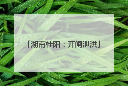湖南桂阳：开闸泄洪