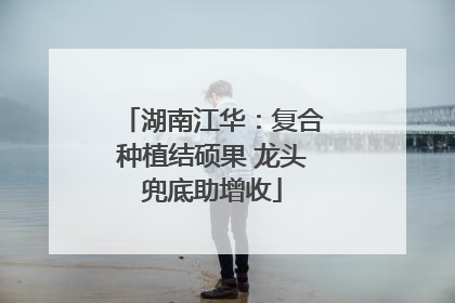 湖南江华：复合种植结硕果 龙头兜底助增收
