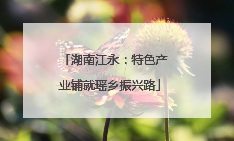 湖南江永：特色产业铺就瑶乡振兴路