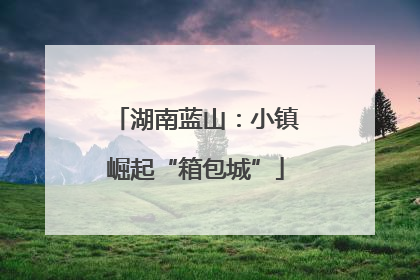 湖南蓝山：小镇崛起“箱包城”