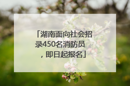 湖南面向社会招录450名消防员，即日起报名