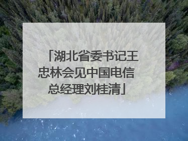 湖北省委书记王忠林会见中国电信总经理刘桂清