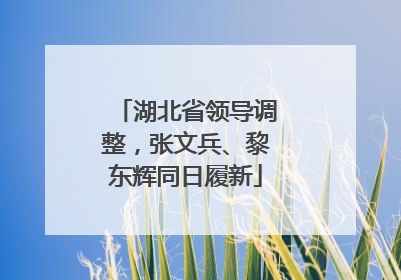 湖北省领导调整，张文兵、黎东辉同日履新