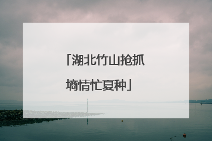 湖北竹山抢抓墒情忙夏种