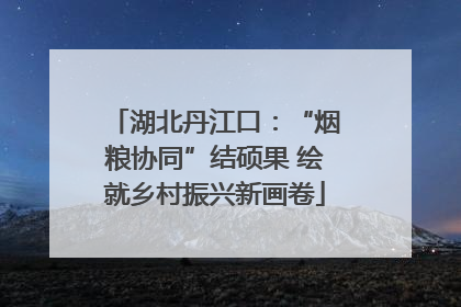 湖北丹江口：“烟粮协同”结硕果 绘就乡村振兴新画卷