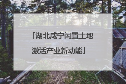 湖北咸宁闲置土地激活产业新动能