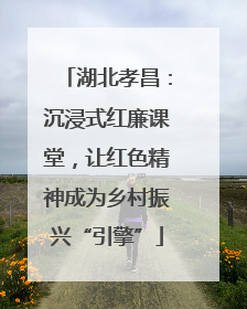 湖北孝昌：沉浸式红廉课堂，让红色精神成为乡村振兴“引擎”