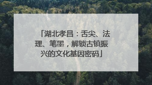 湖北孝昌：舌尖、法理、笔墨，解锁古镇振兴的文化基因密码