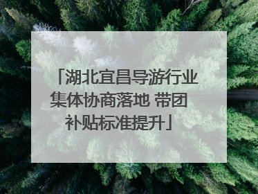 湖北宜昌导游行业集体协商落地 带团补贴标准提升