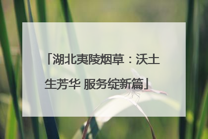 湖北夷陵烟草：沃土生芳华 服务绽新篇