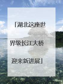 湖北这座世界级长江大桥迎来新进展