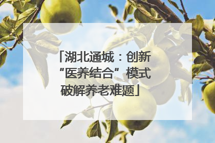 湖北通城：创新 “医养结合”模式 破解养老难题