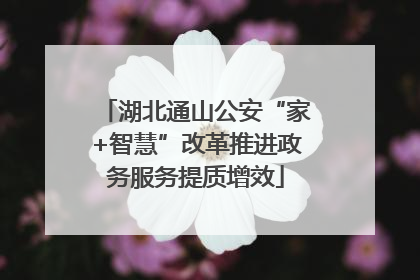 湖北通山公安“家+智慧”改革推进政务服务提质增效