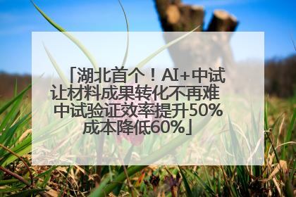 湖北首个！AI+中试让材料成果转化不再难 中试验证效率提升50%成本降低60%