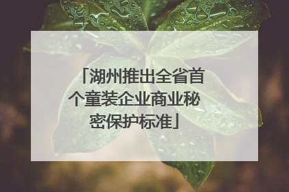 湖州推出全省首个童装企业商业秘密保护标准