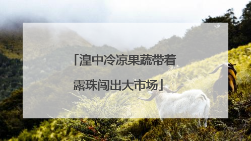湟中冷凉果蔬带着露珠闯出大市场
