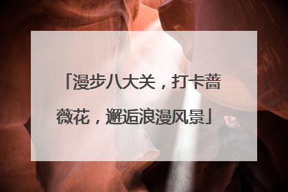漫步八大关，打卡蔷薇花，邂逅浪漫风景
