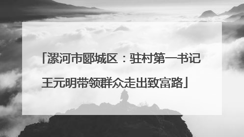 漯河市郾城区：驻村第一书记王元明带领群众走出致富路