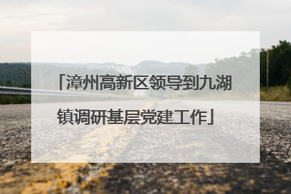 漳州高新区领导到九湖镇调研基层党建工作