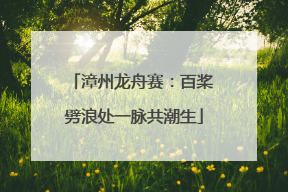漳州龙舟赛：百桨劈浪处一脉共潮生