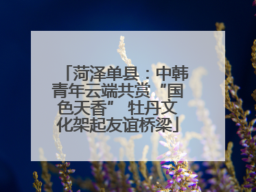 菏泽单县：中韩青年云端共赏“国色天香” 牡丹文化架起友谊桥梁