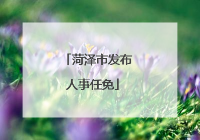 菏泽市发布人事任免