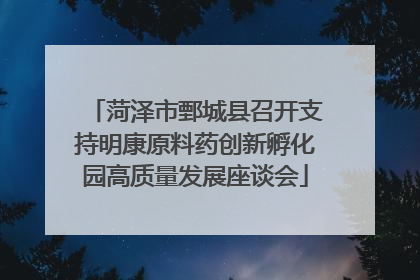 菏泽市鄄城县召开支持明康原料药创新孵化园高质量发展座谈会