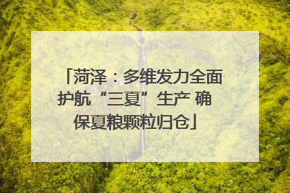菏泽：多维发力全面护航“三夏”生产 确保夏粮颗粒归仓