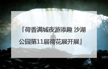 荷香满城夜游添趣 沙湖公园第11届荷花展开展